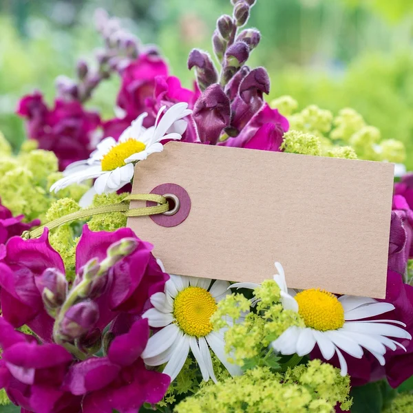 足球下注捕鱼游戏